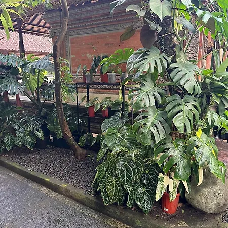 Naeera Guest House