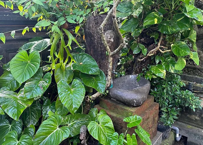 Naeera ゲストハウス